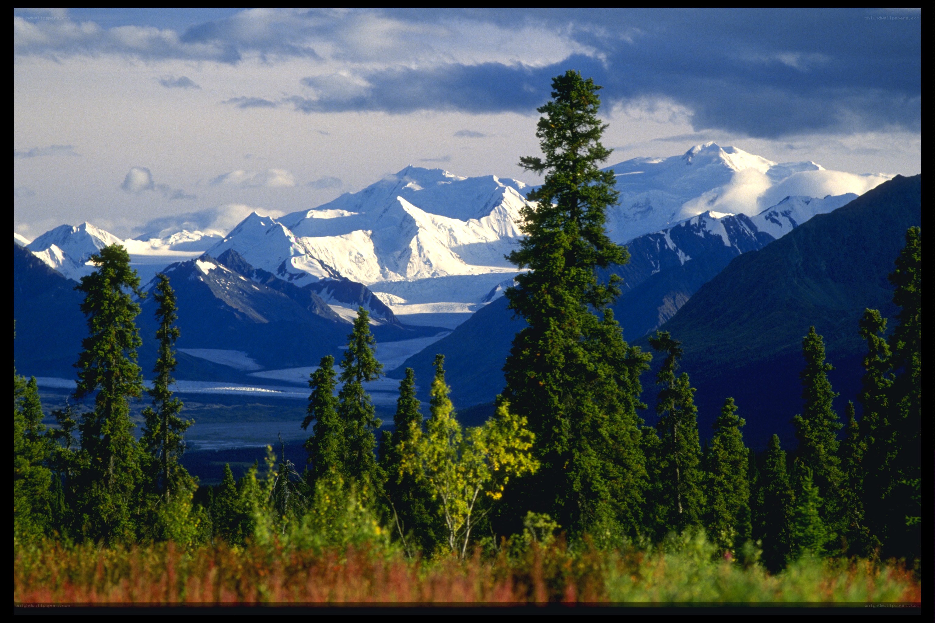Snow-capped mountains and evergreens