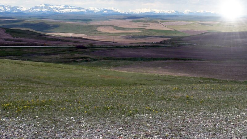 Snow-capped Mountains and Fields