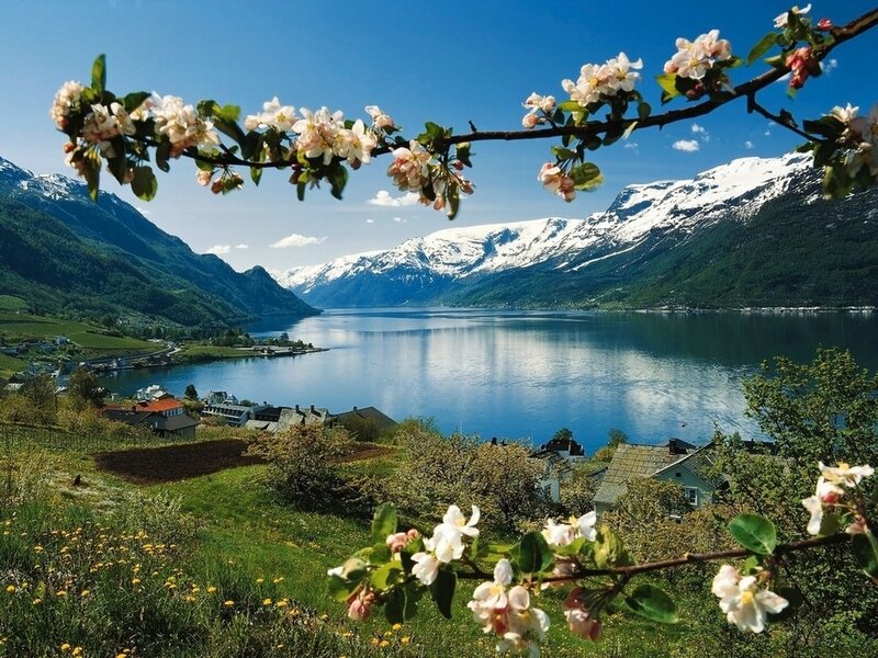 Snow-capped Mountains and Fjord — Blue