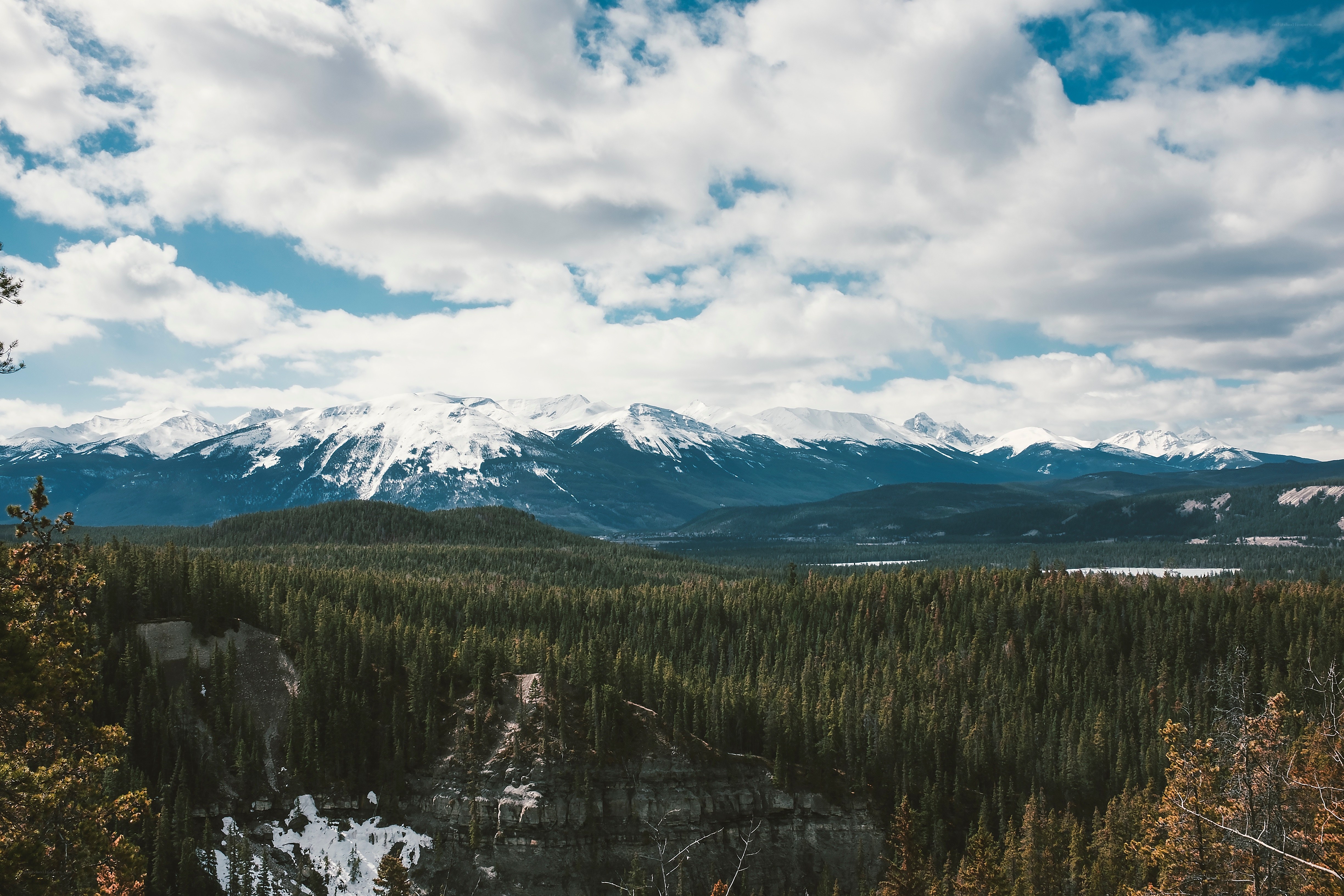 Snow-capped mountains and forest