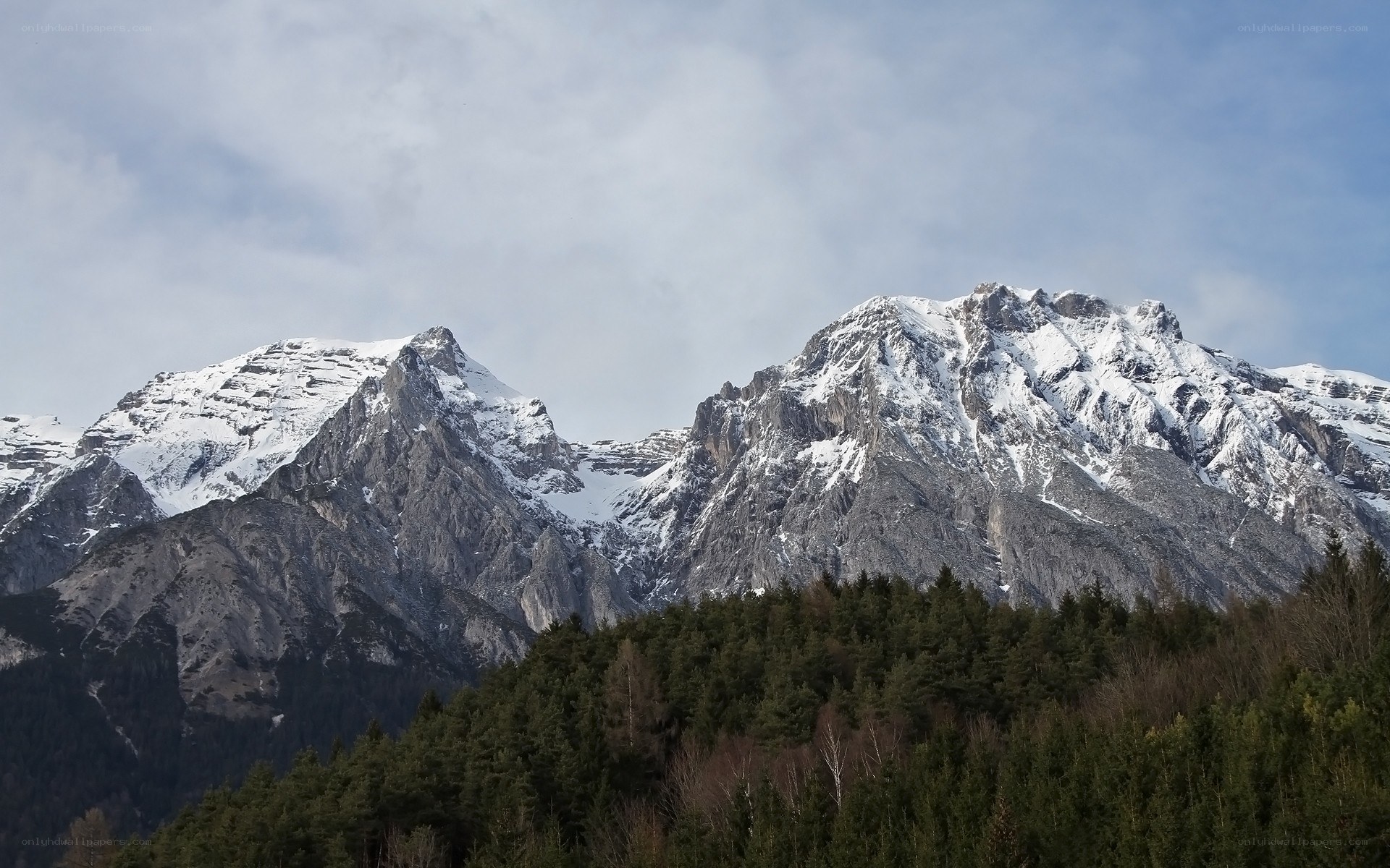 snow-capped mountains and forest