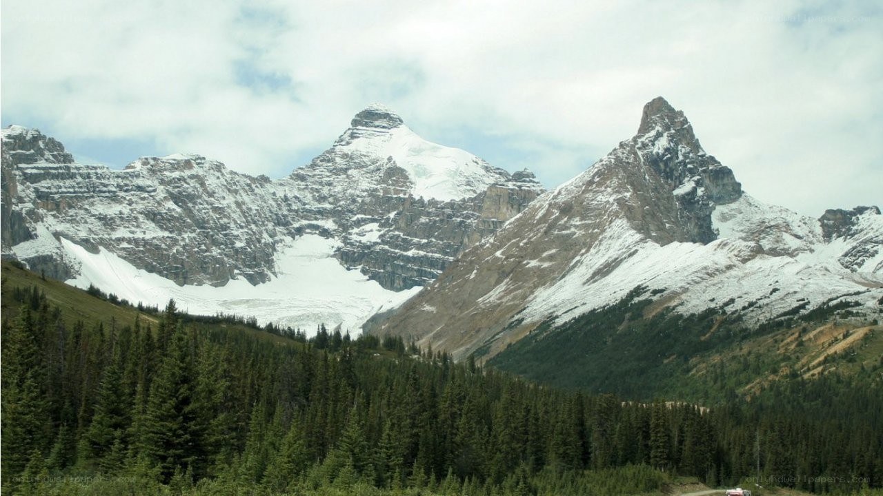 snow-capped mountains and forest