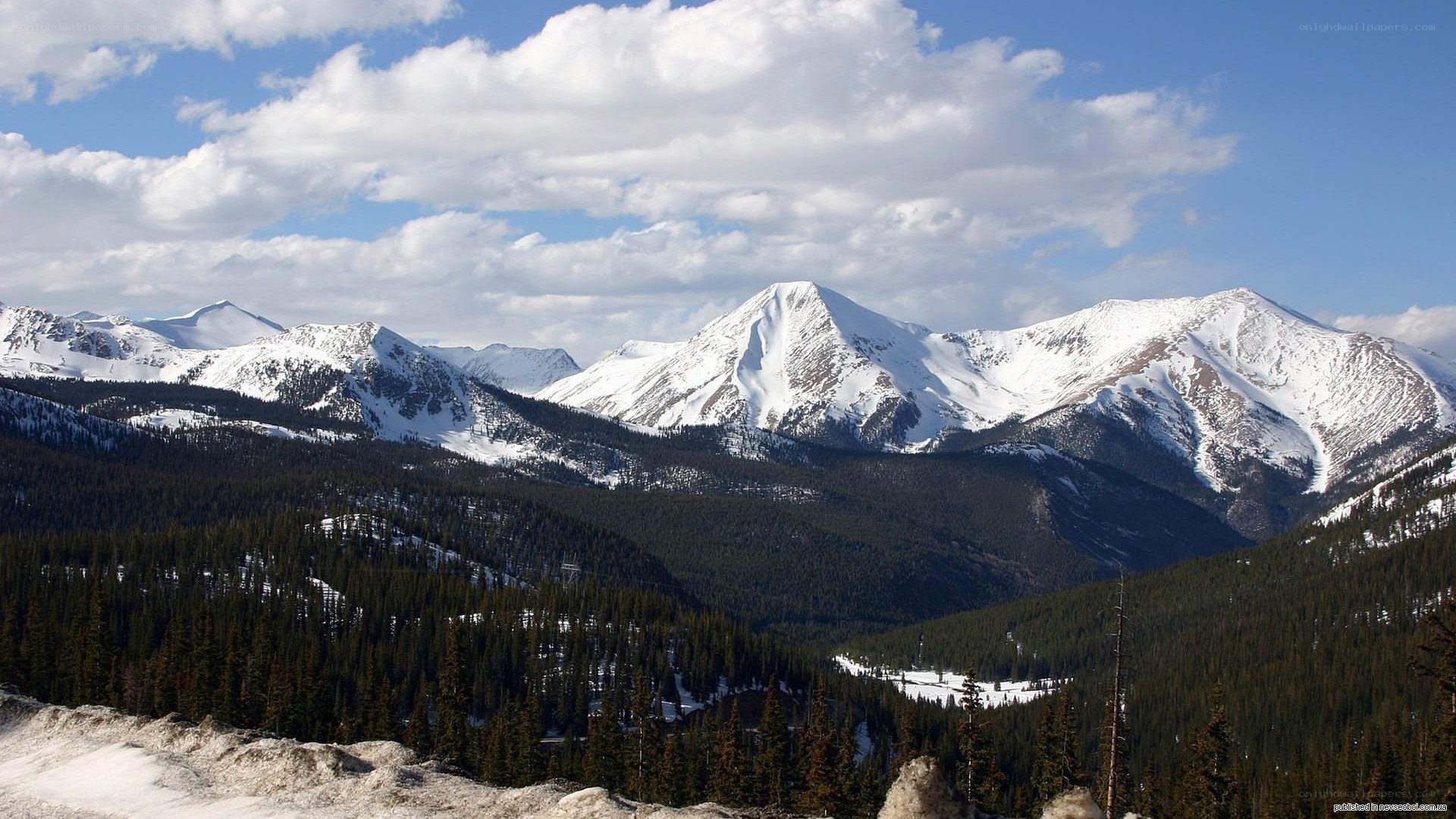 snow-capped mountains and forest