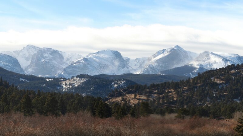 snow-capped mountains and forest