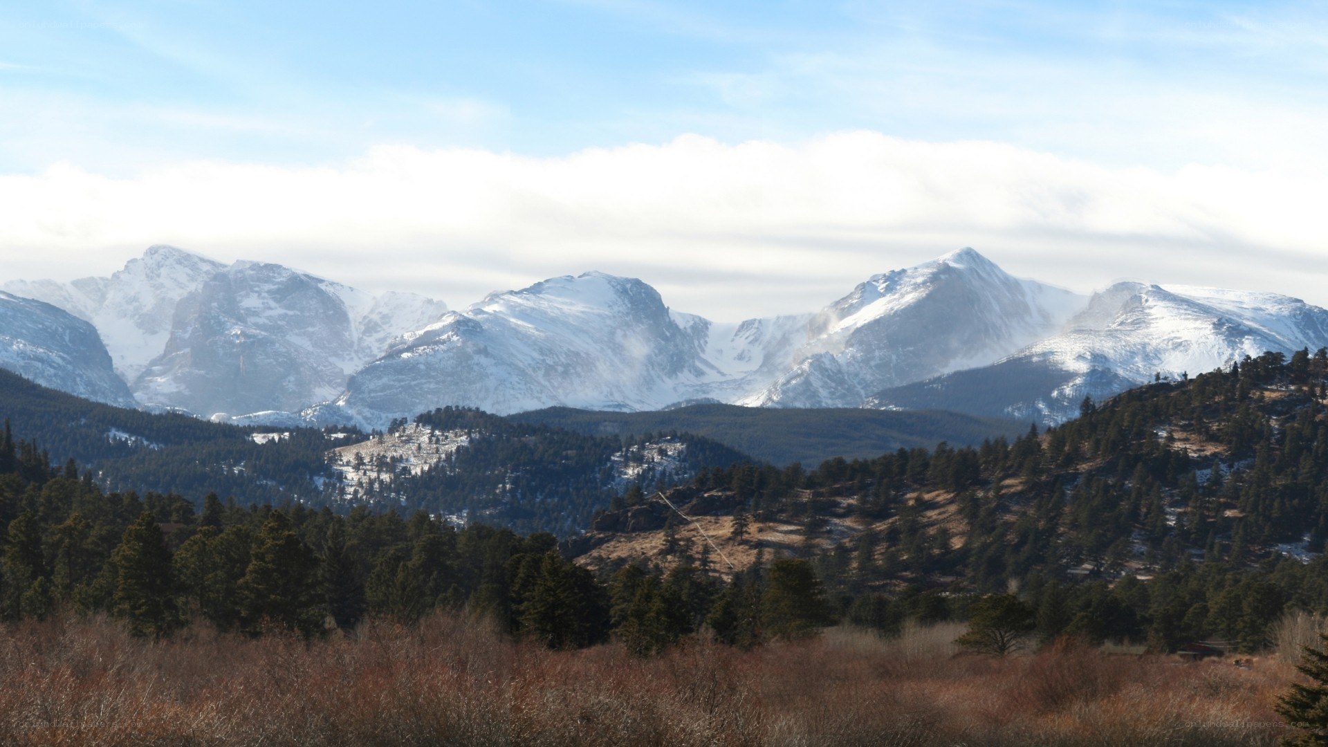 snow-capped mountains and forest