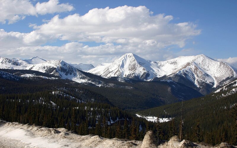 snow-capped mountains and forest