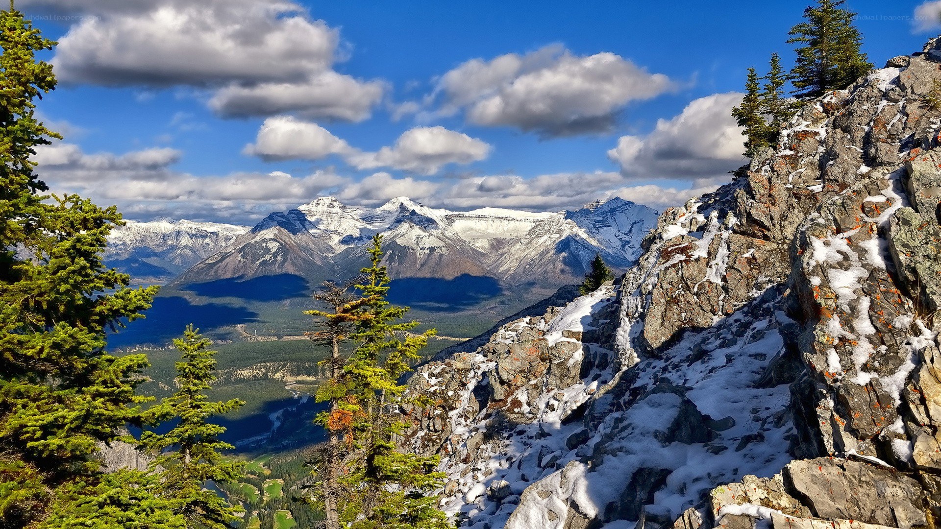 Snow-capped mountains and forest