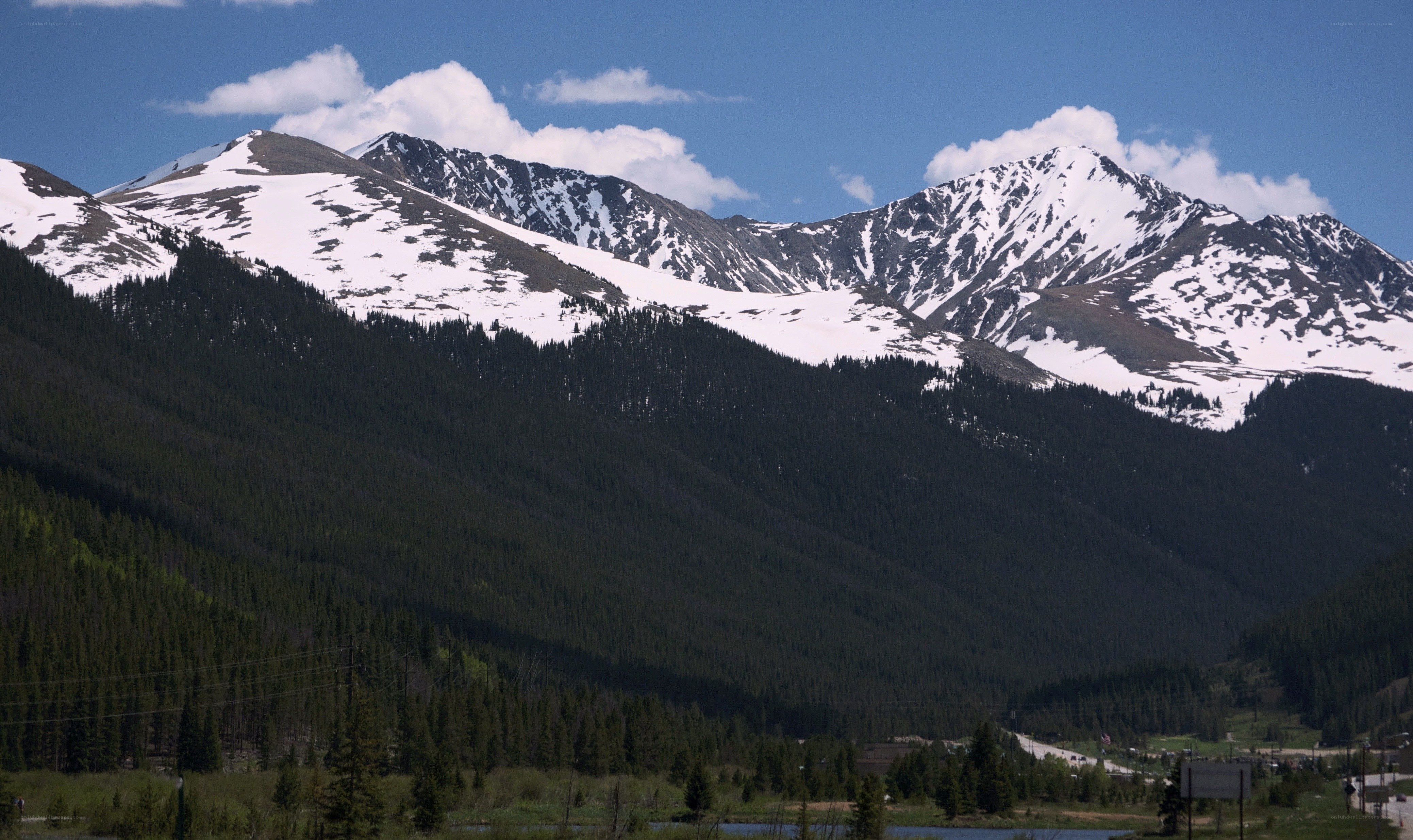 snow-capped mountains and forest