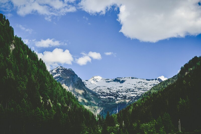snow-capped mountains and forest