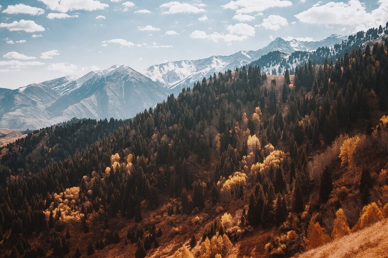 Snow-capped Mountains and Forest — Blue, Serene, Autumn