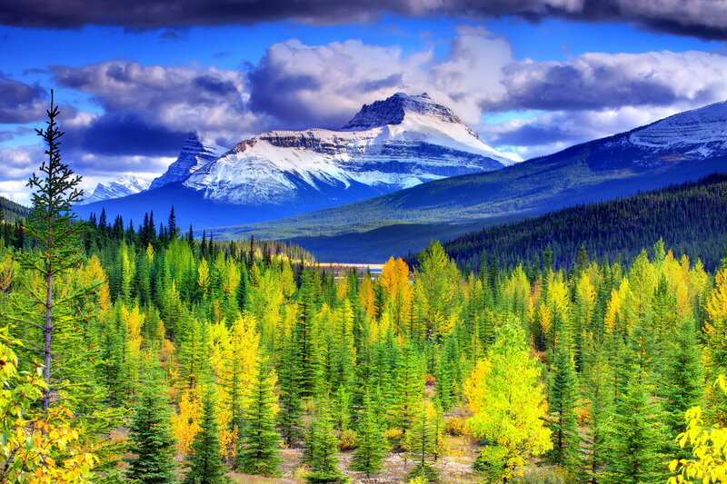 Snow-capped Mountains and Forest — Green, Dramatic