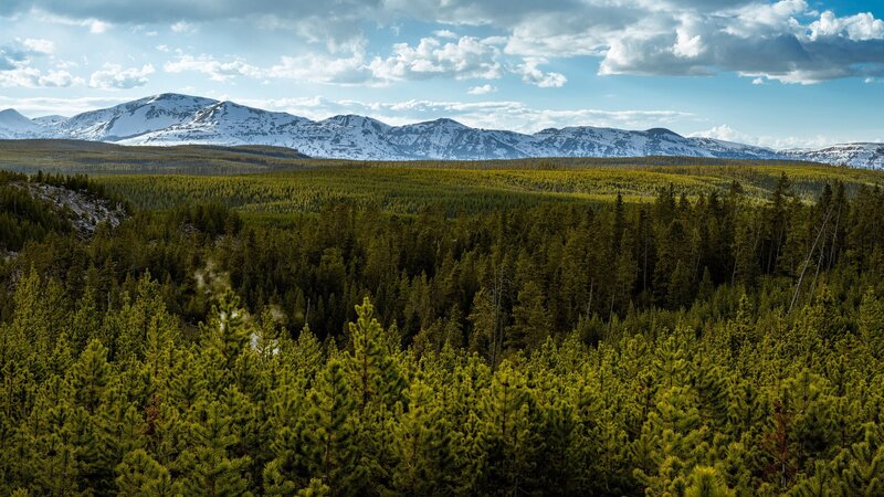 Snow-capped Mountains and Forest — Green, Serene, Afternoon