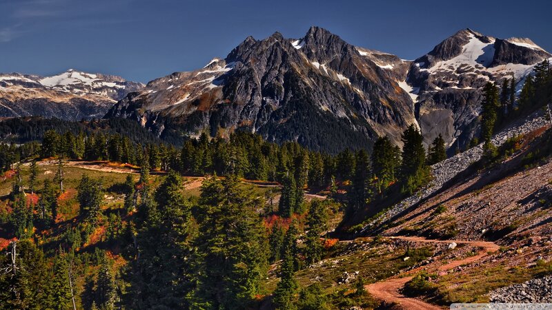 Snow-capped Mountains and Forest — Green, Serene