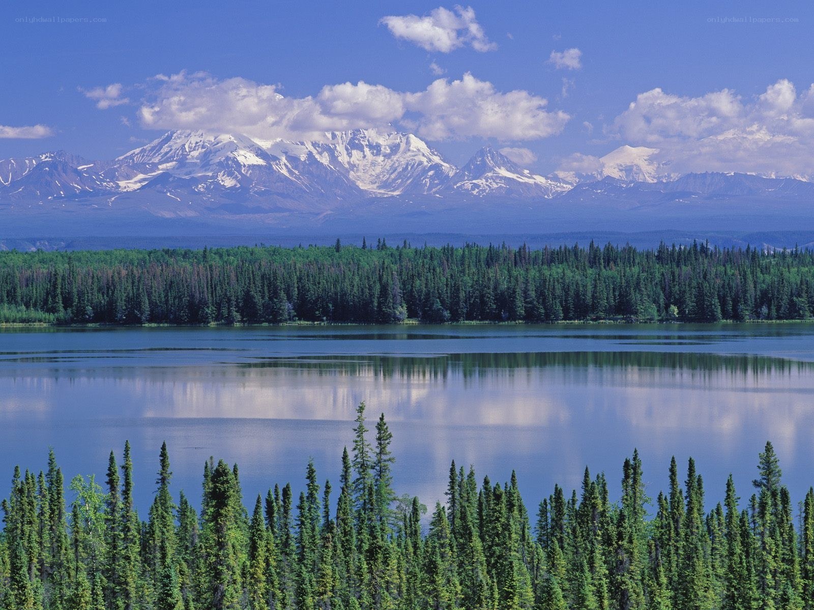 Snow-capped mountains and forest lake