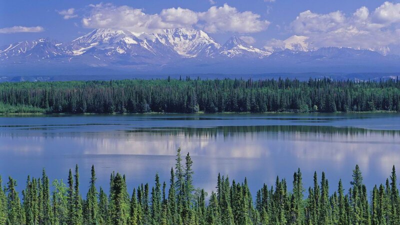 Snow-capped mountains and forest lake