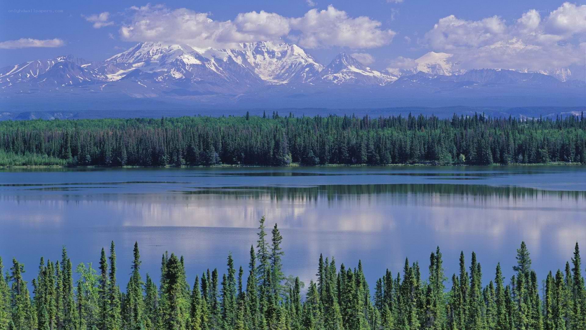 Snow-capped mountains and forest lake