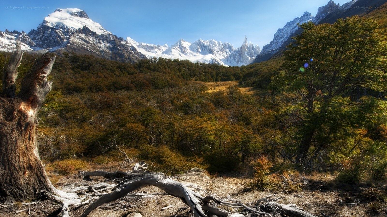 Snow-capped mountains and forest valley