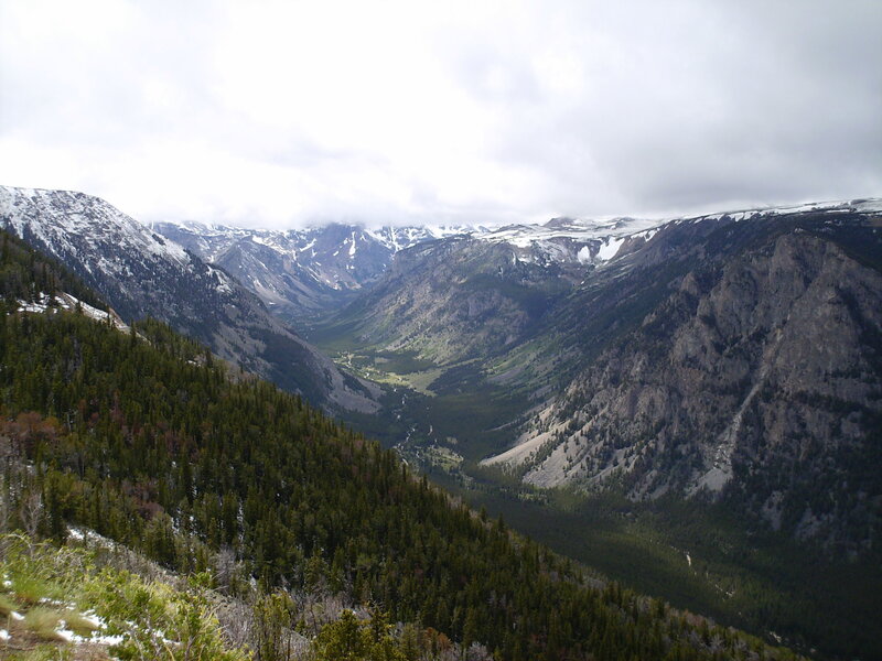 snow-capped mountains and forest valley