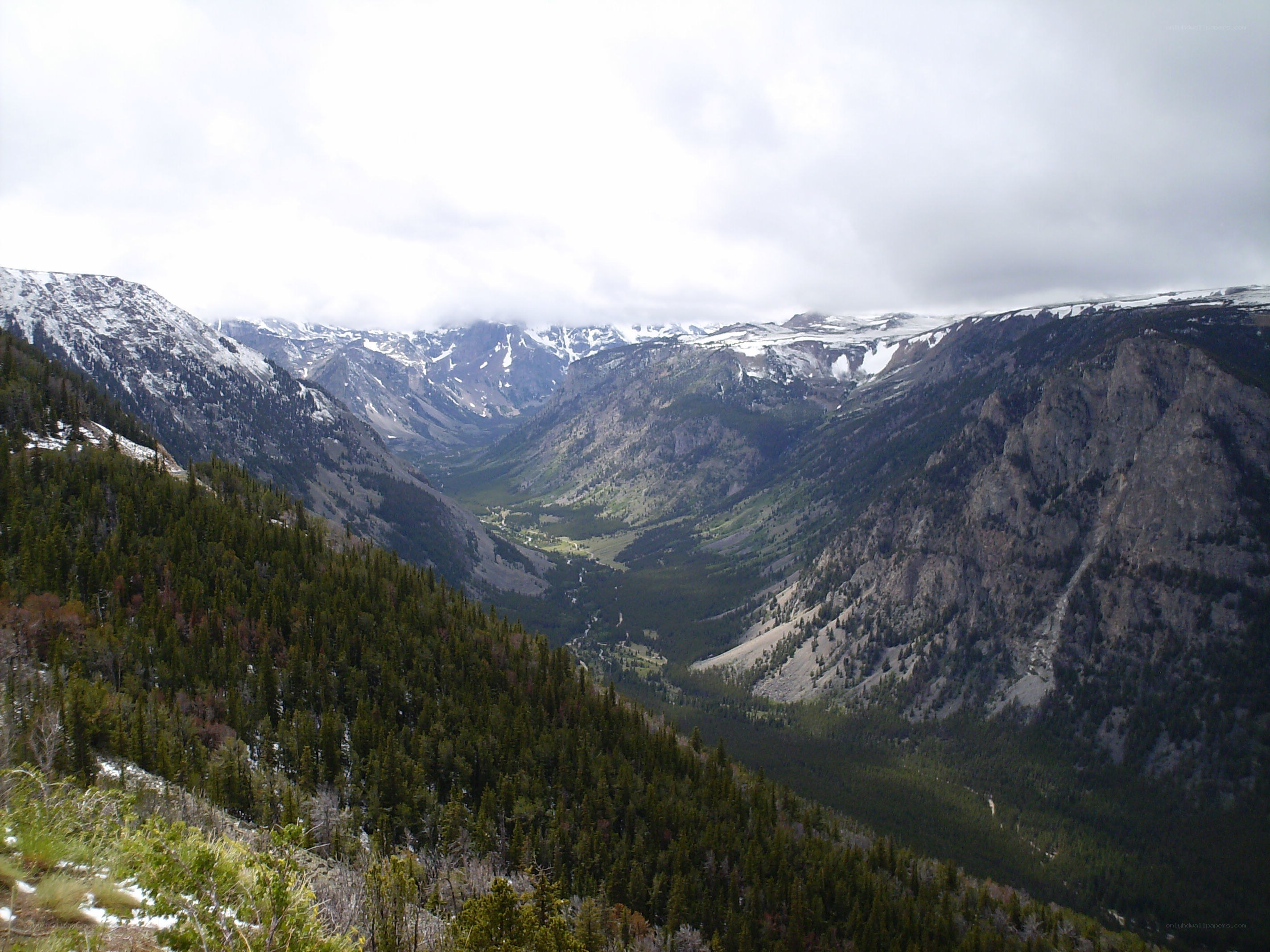 snow-capped mountains and forest valley