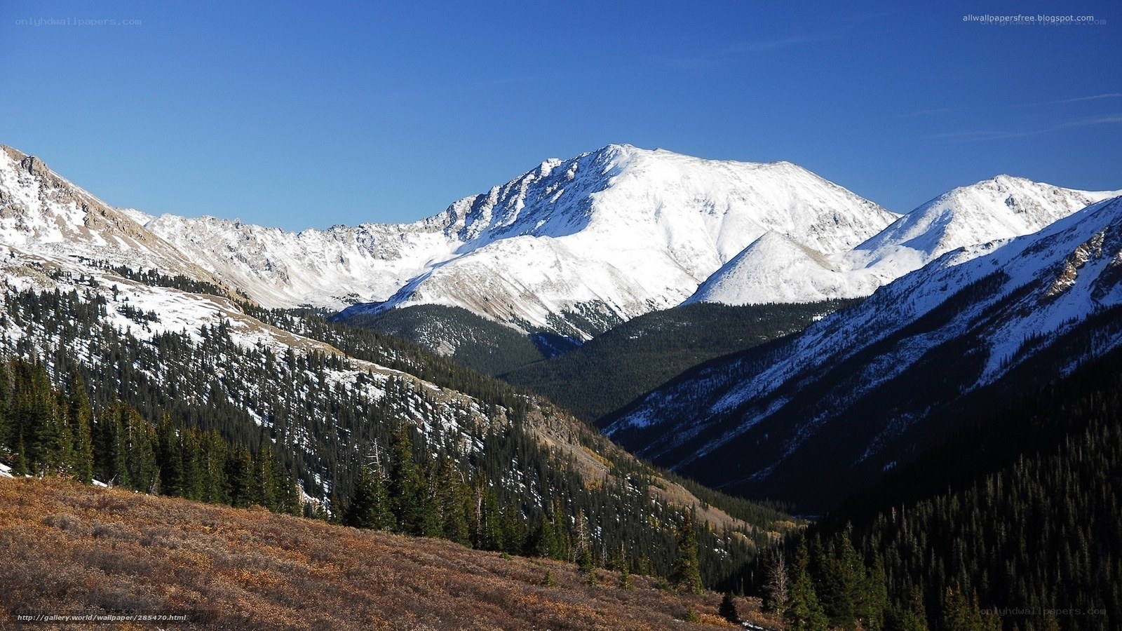 snow-capped mountains and forest valley