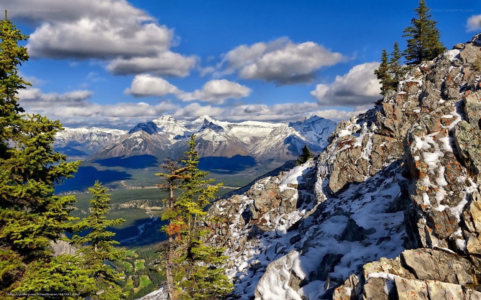 Snow-capped mountains and forest view