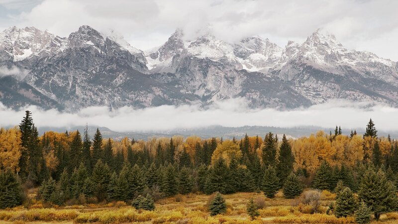Snow-capped Mountains and Forest — Yellow, Serene, Autumn, Photograph