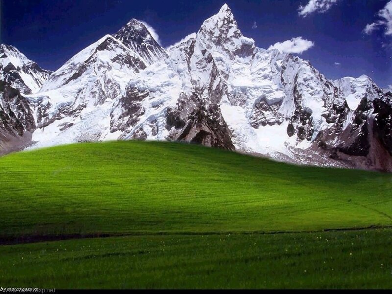 snow-capped mountains and green field