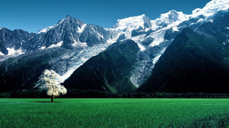 Snow-capped mountains and green field
