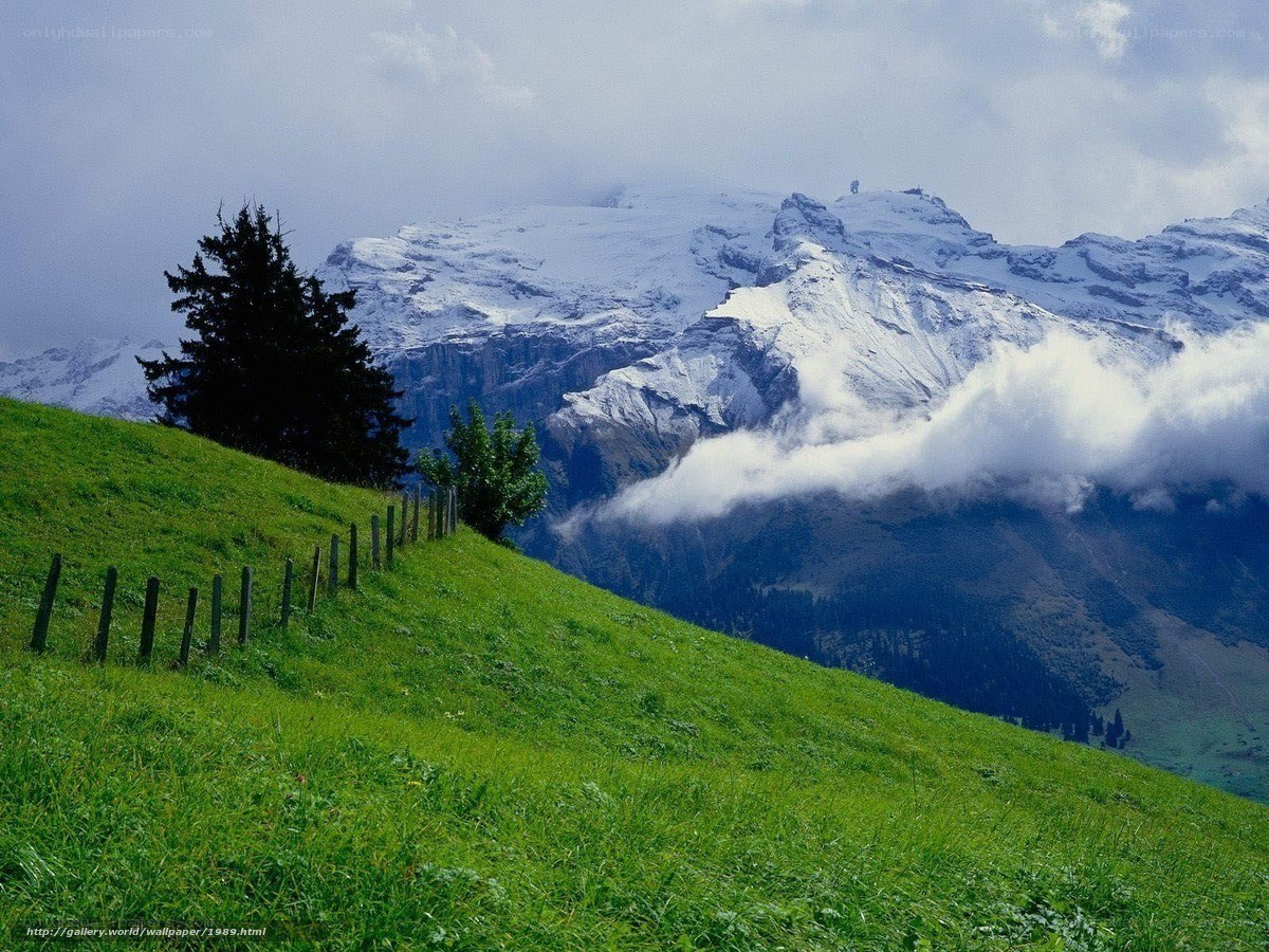 Snow-capped mountains and green hills
