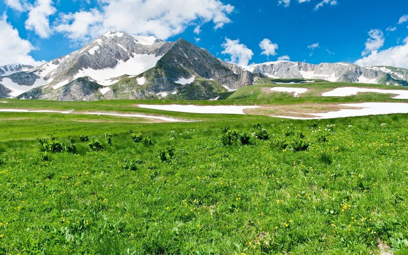 Snow-capped mountains and green meadow