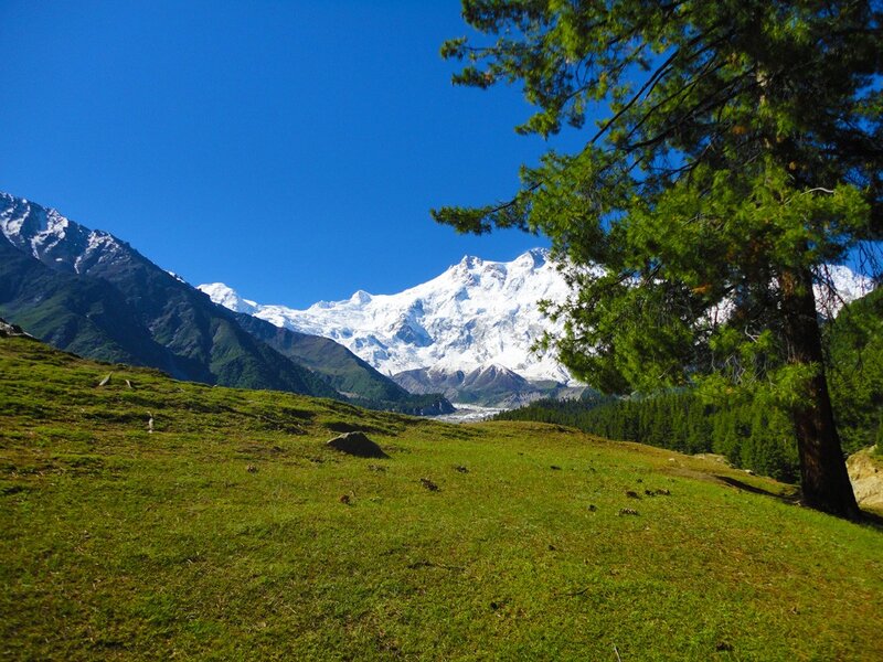 Snow-capped mountains and green meadow