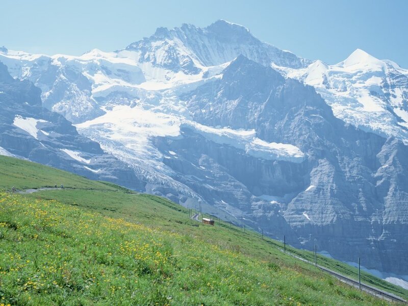 Snow-capped mountains and green meadow