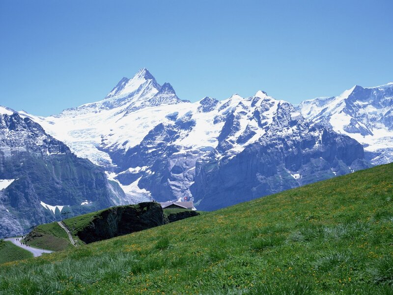 Snow-capped mountains and green meadow