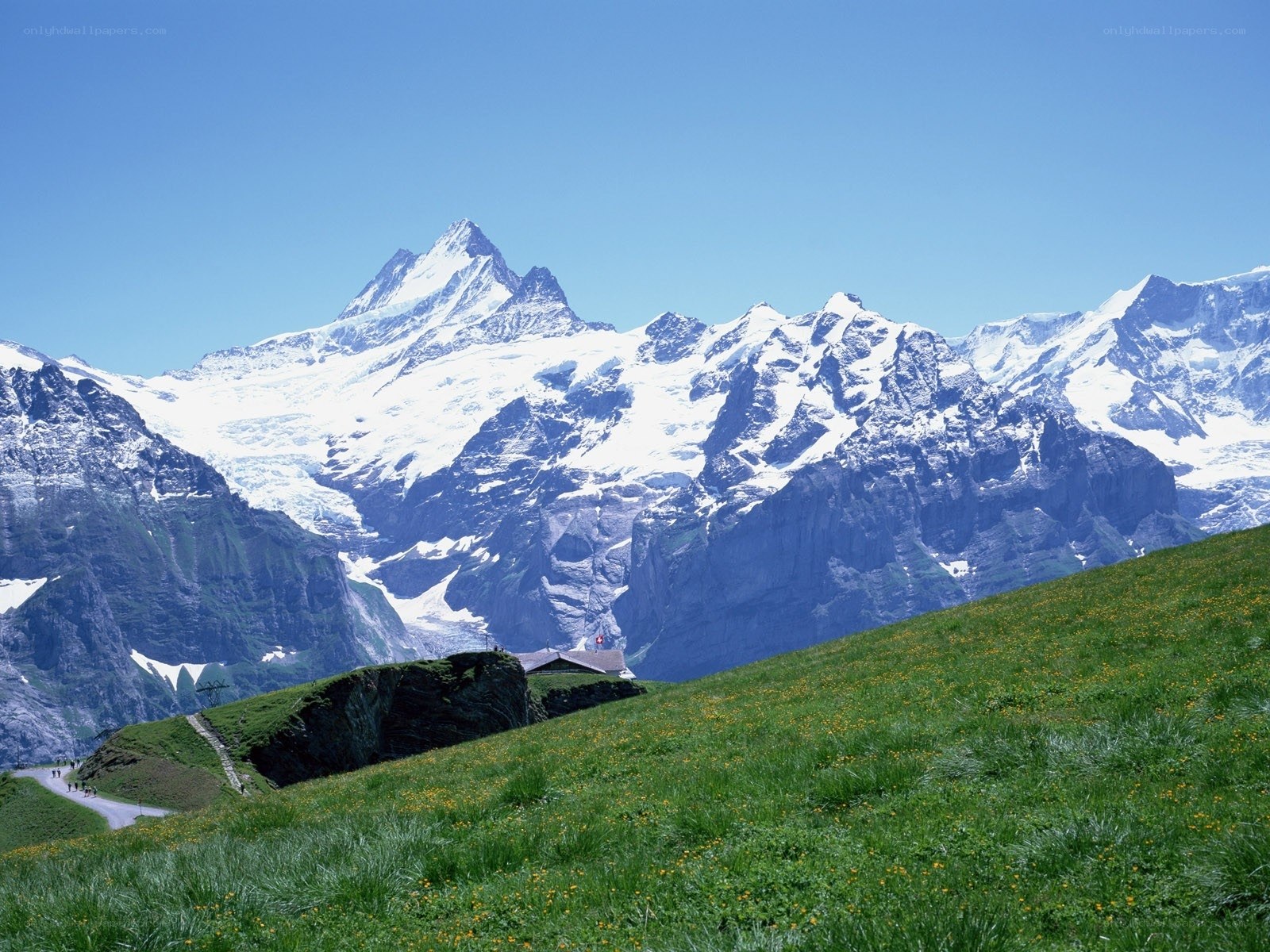 Snow-capped mountains and green meadow