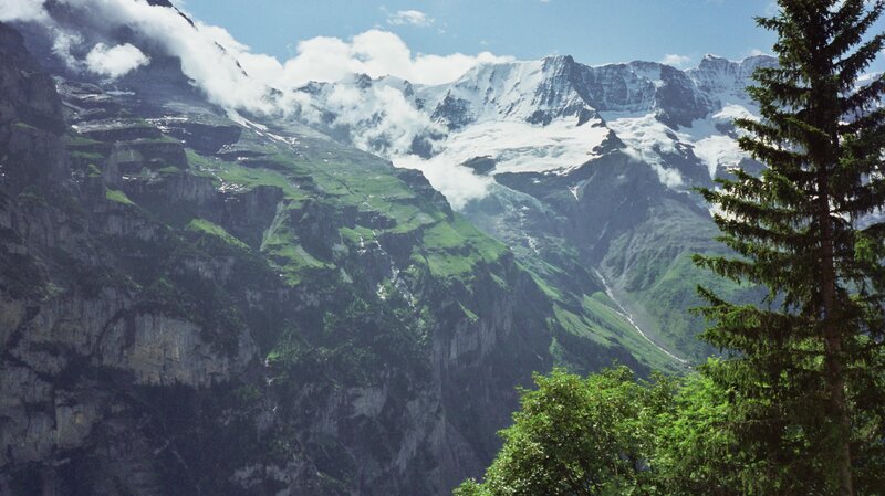 snow-capped mountains and green valley