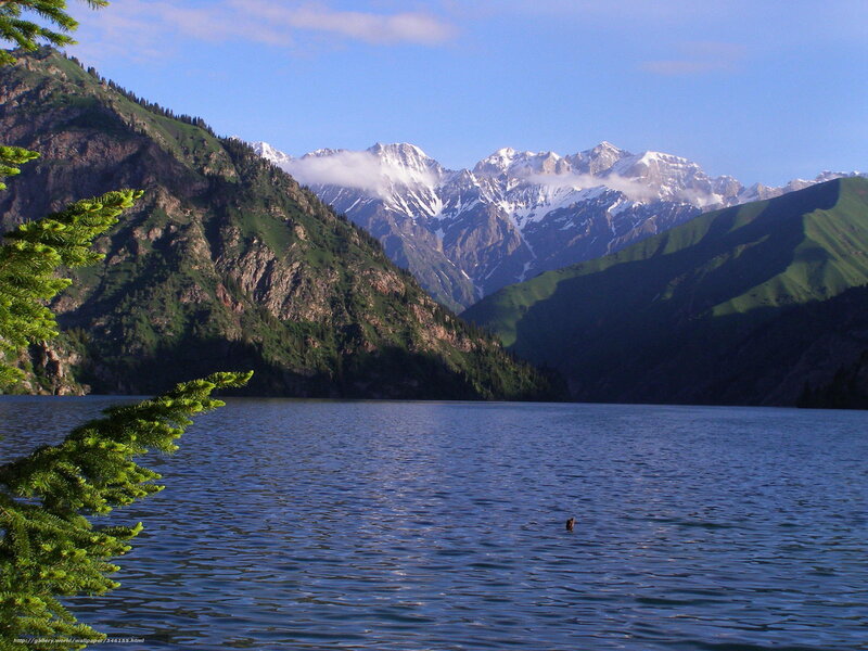Snow-capped Mountains and Lake — Blue, Serene, Afternoon, Photograph, Pine Tree, Clouds