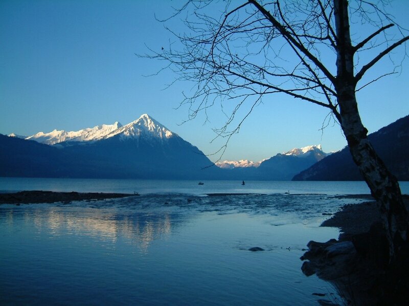 Snow-capped Mountains and Lake — Blue, Serene, Morning, Photograph, Tree