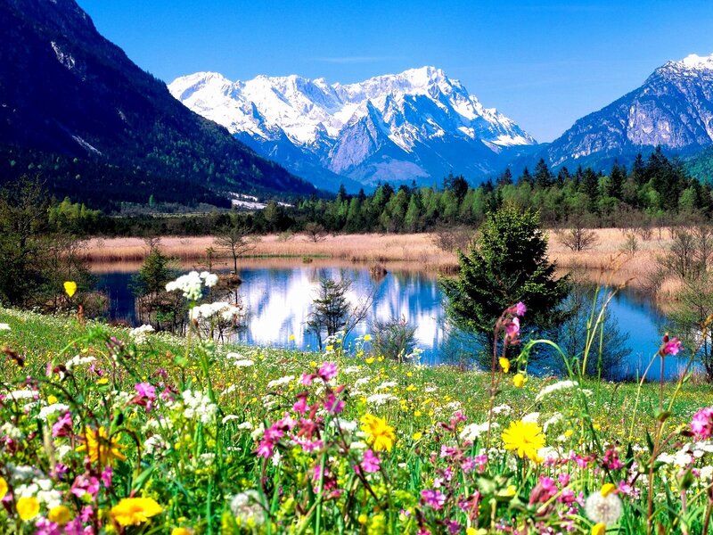 Snow-capped Mountains and Lake — Blue, Serene, Spring, Photograph, Flowers