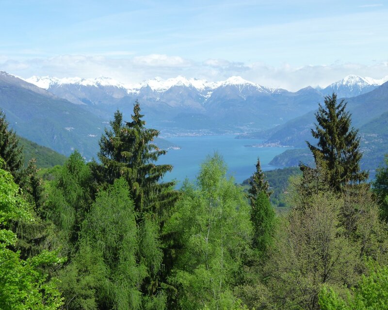 Snow-capped Mountains and Lake — Green, Serene