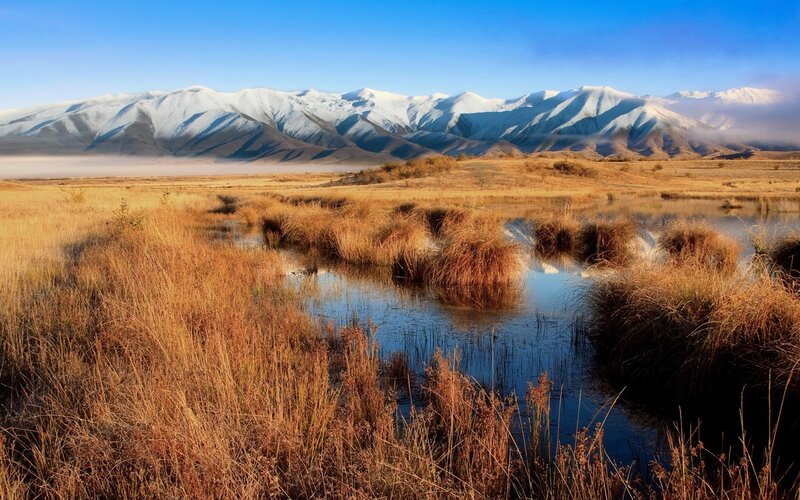 Snow-capped mountains and marshland