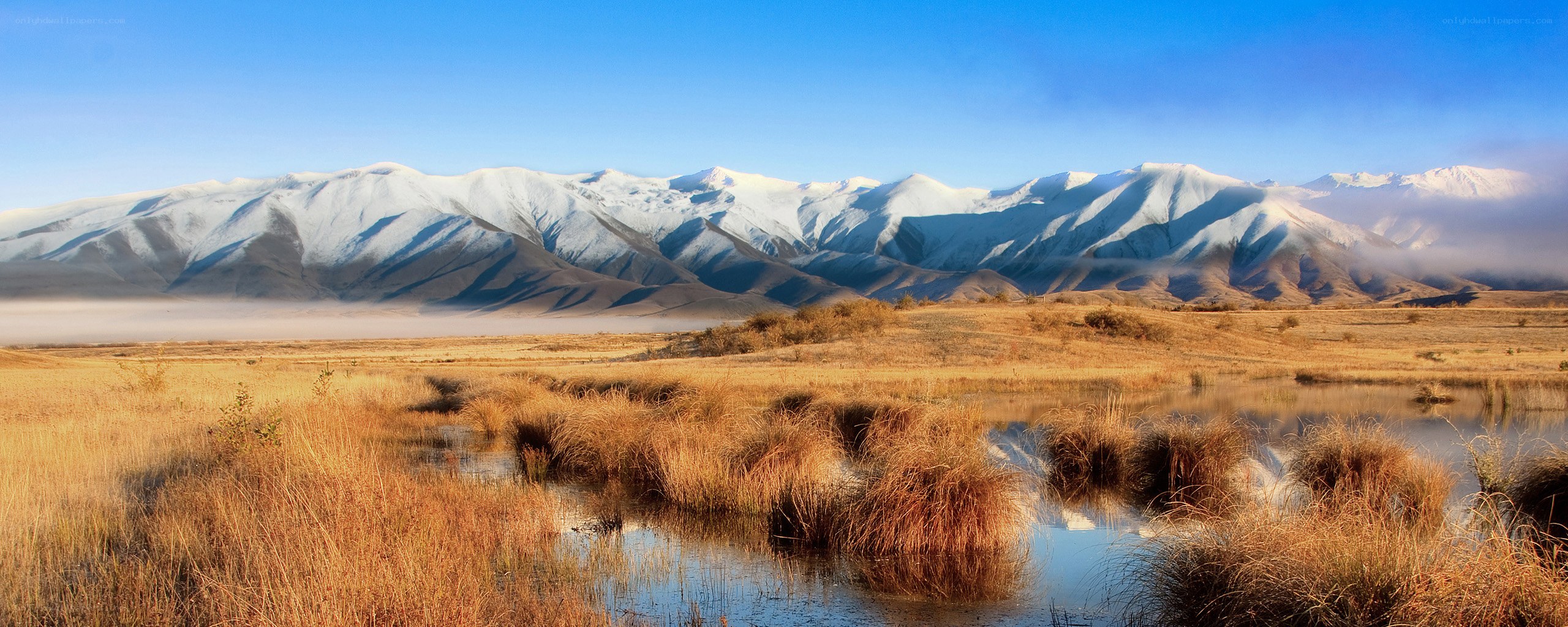 Snow-capped mountains and marshland