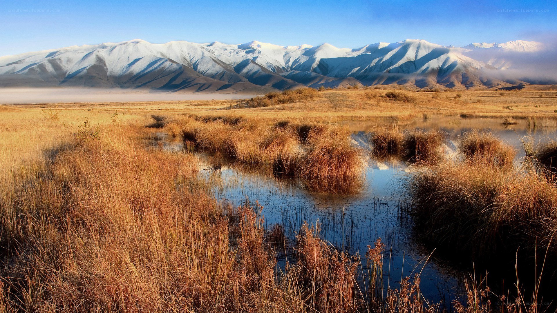 Snow-capped mountains and marshland