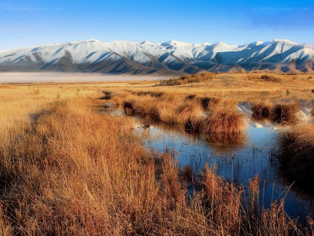 Snow-capped mountains and marshland