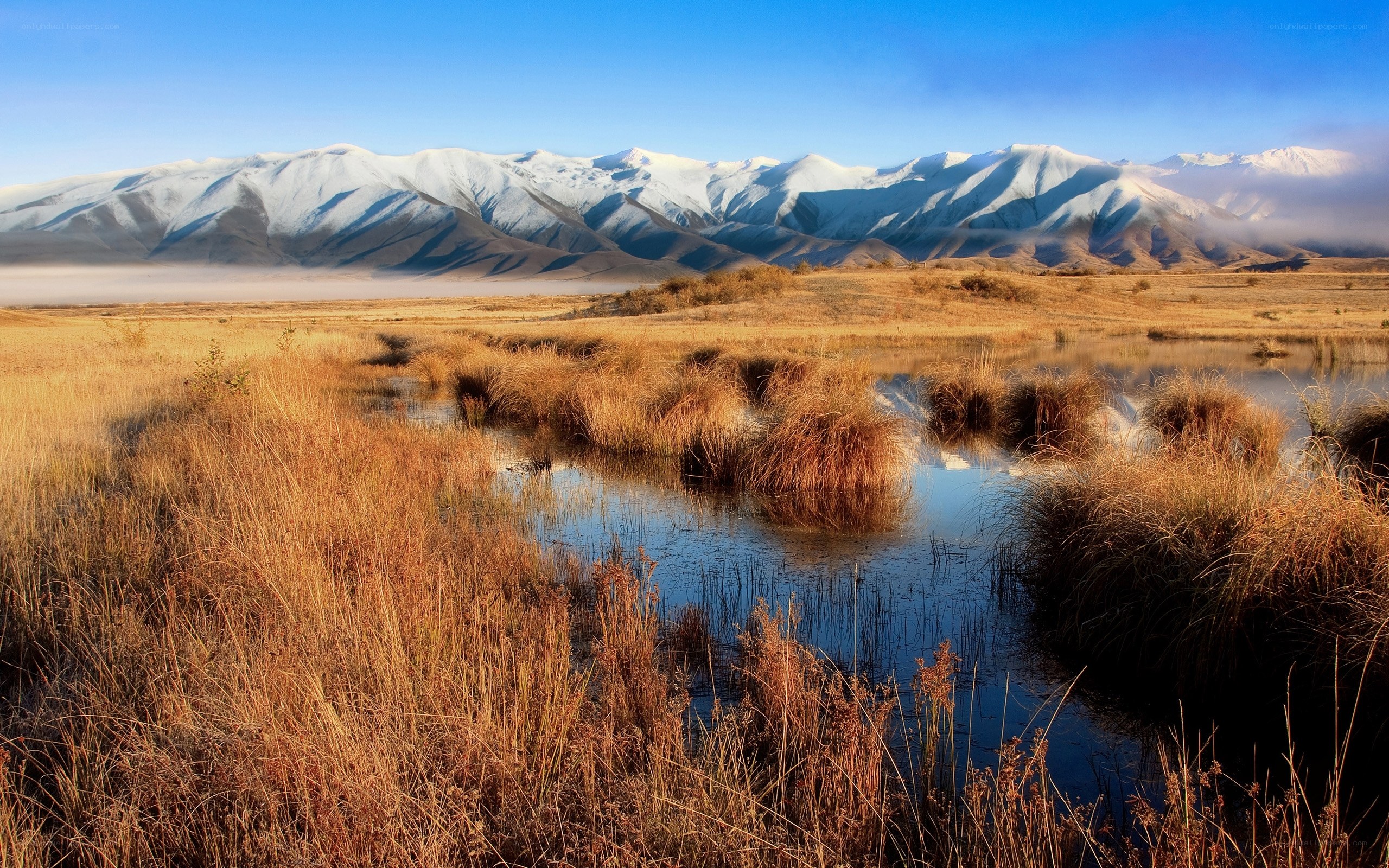 Snow-capped mountains and marshland