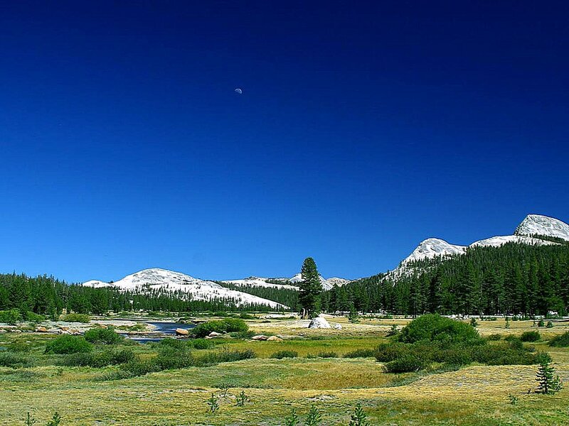 Snow-capped Mountains and Meadow