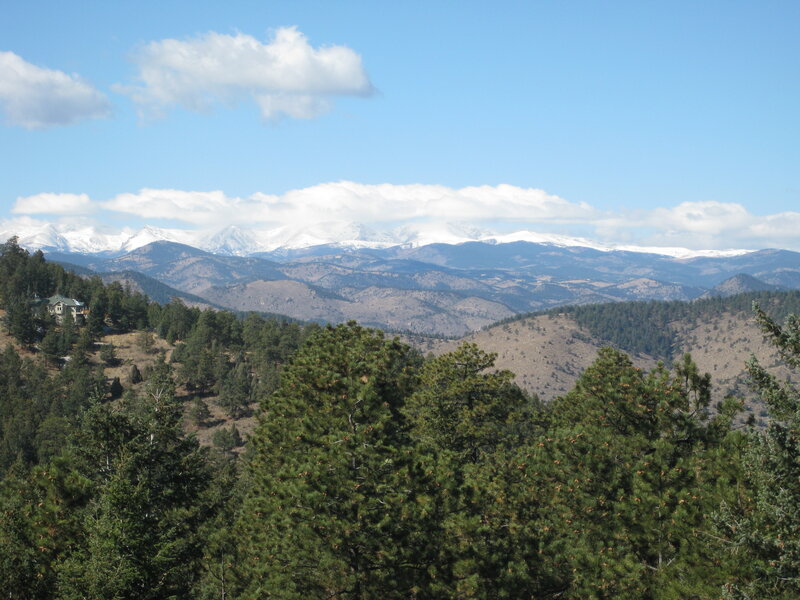 snow-capped mountains and pine forest