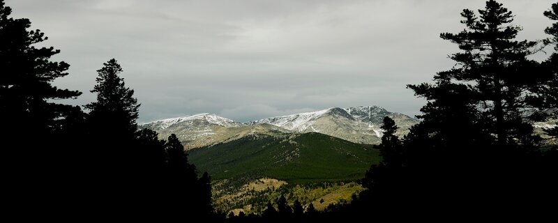 snow-capped mountains and pine trees
