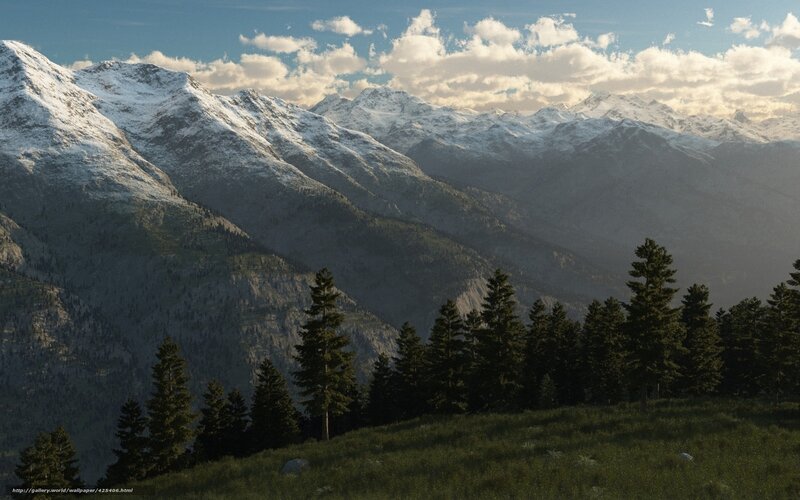 Snow-capped mountains and pine trees