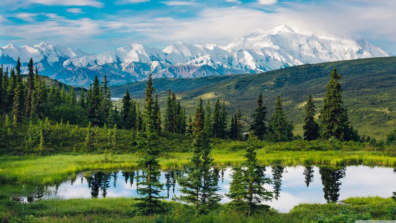 Snow-capped Mountains and Pond — Green