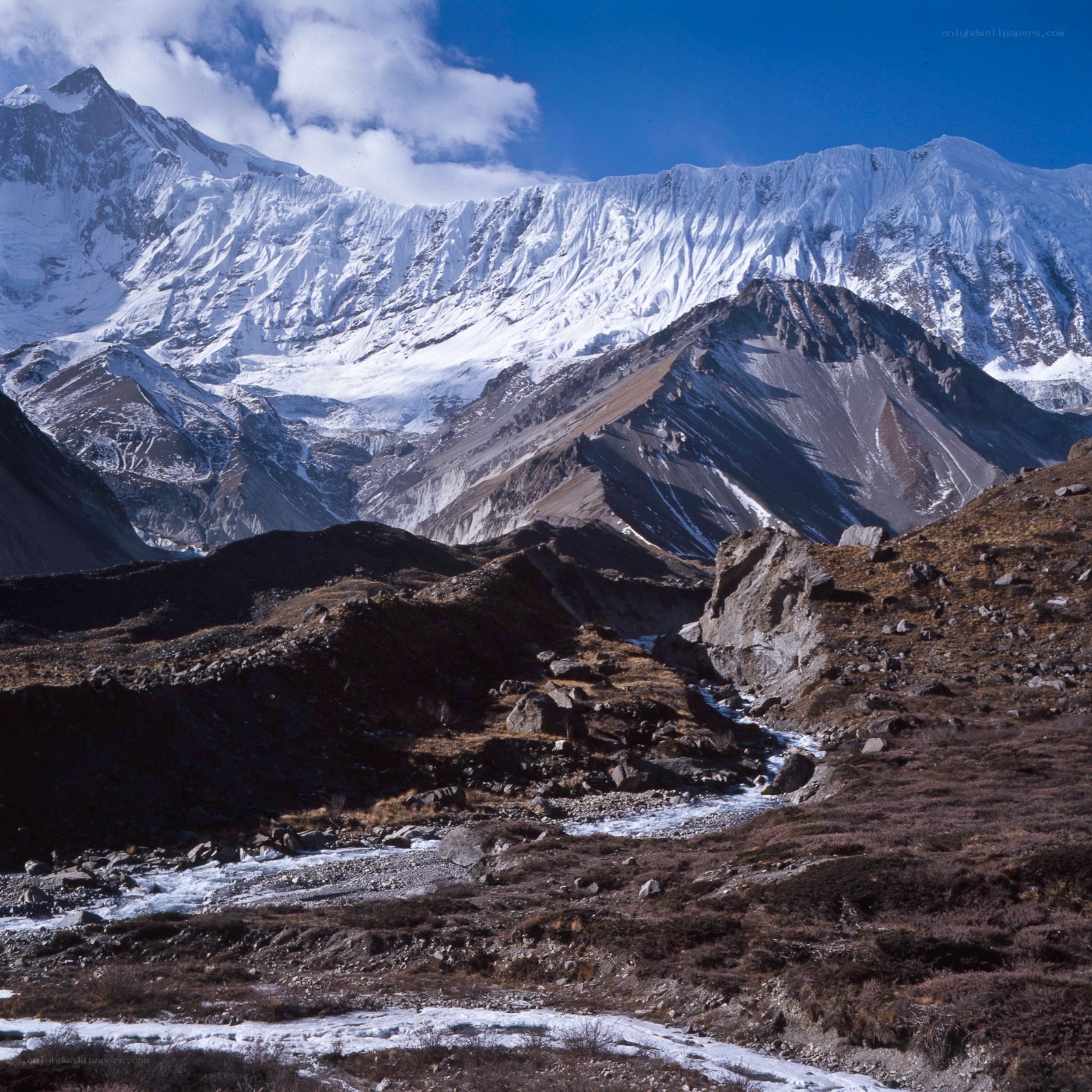 snow-capped mountains and river